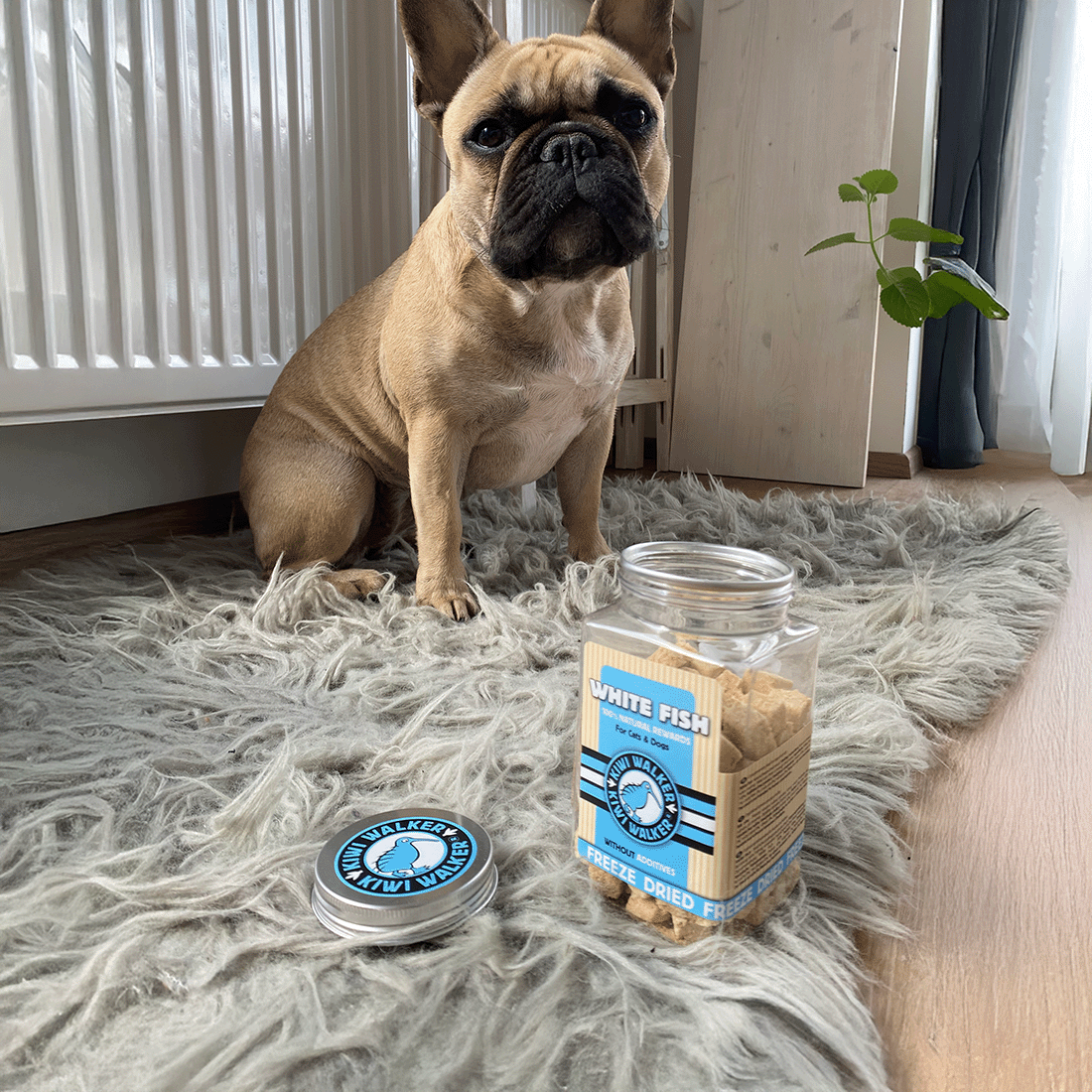 Kārumi suņiem un kaķiem - veselas zivis