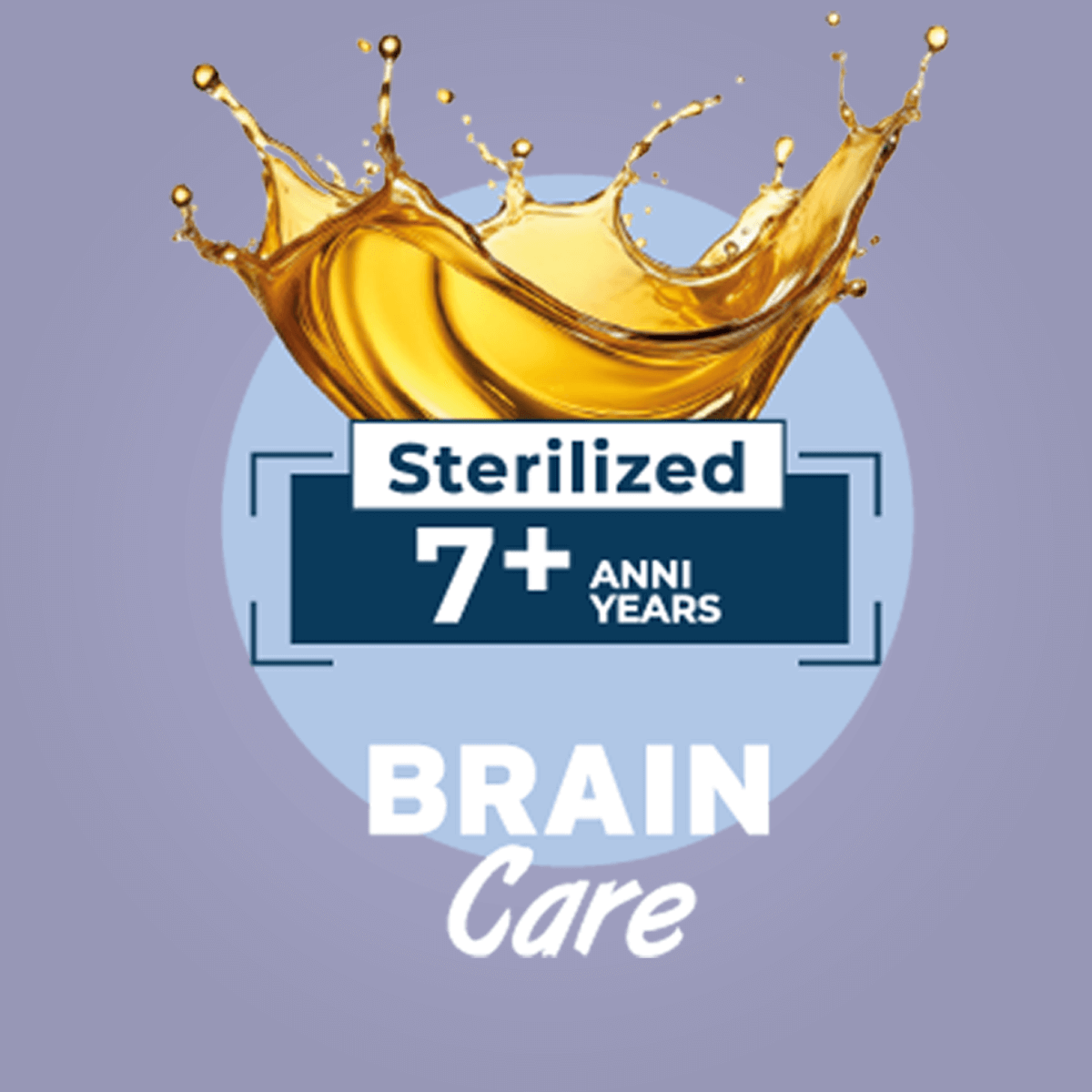 Kaķu senioru veselībai