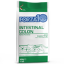 Intestinal Colon Active