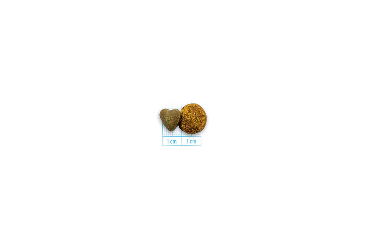 Forza10 Active VetDiet Renal cat graudi
