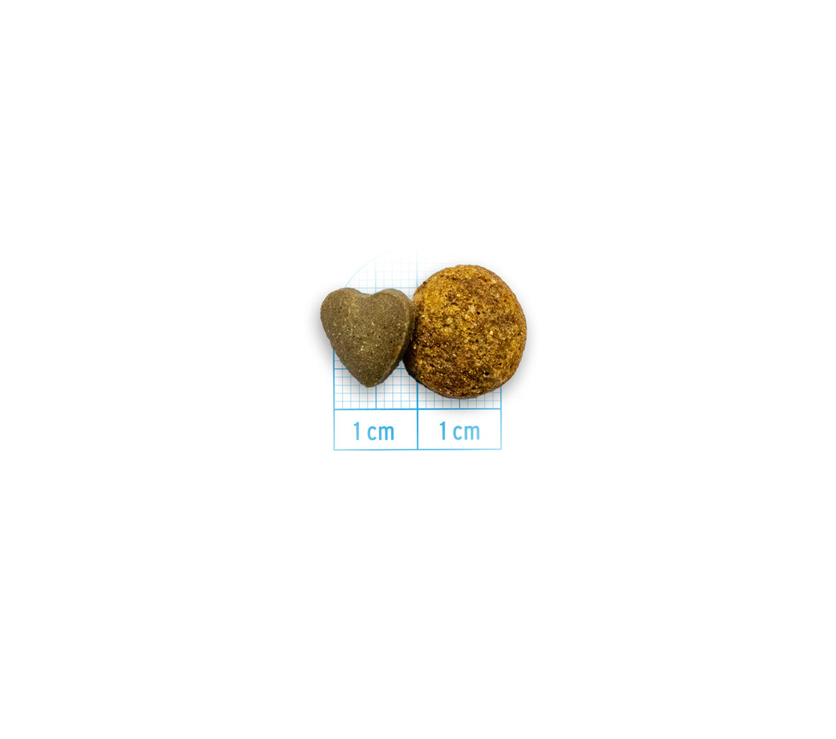 Active VetDiet Dermo Mini/Toy suņiem