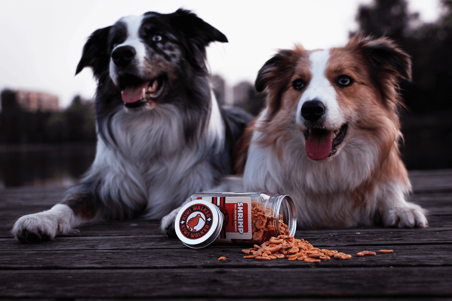 KIWI Walker 100% dabīgi kārumi suņiem un kaķiem. Auksti kaltēti pīļu kakli bez piedevām, konservantiem vai krāsvielām.