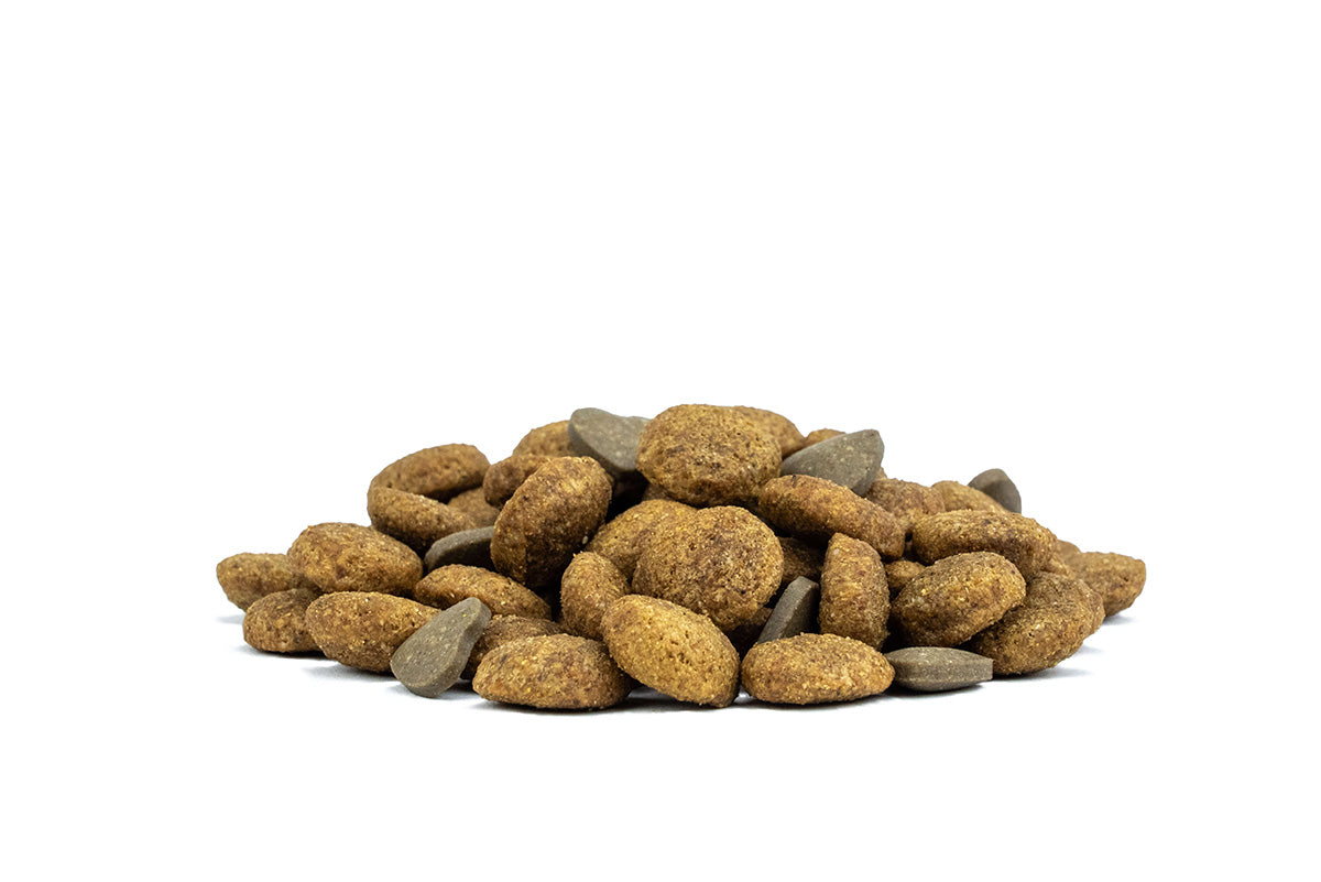 FORZA 10 Active VetDiet Urinary MINI/TOY ir sausās diētiskās barības maza auguma suņiem ar urīnceļu saslimšanām graudi