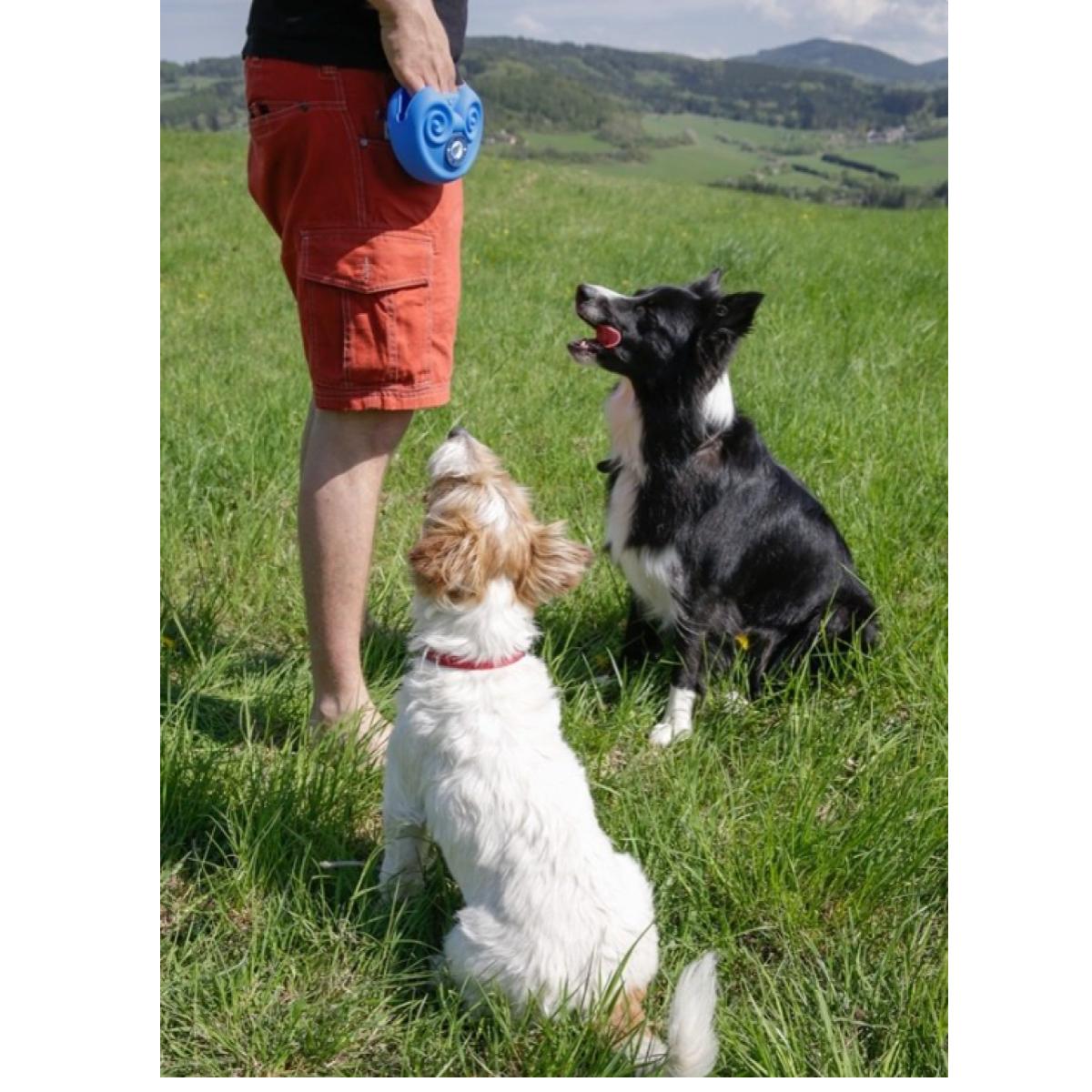 Mīksta silikona kārumu somiņa, kas ērti piesprādzējama pie jostas. Lieliski piemērota un ērta lietošanā- pastaigās vai treniņnodarbībās ar suni.