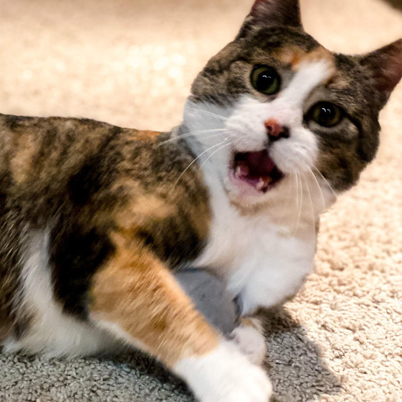 Набор шариков для кошек- 3шт.