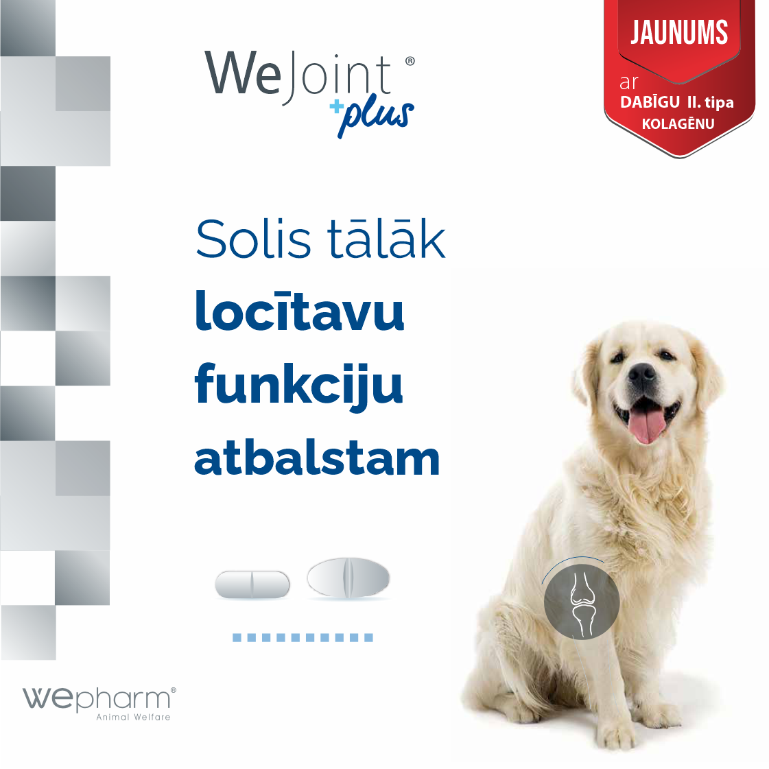 WeJoint plus Large Breed - locītavu funkciju atbalstam.