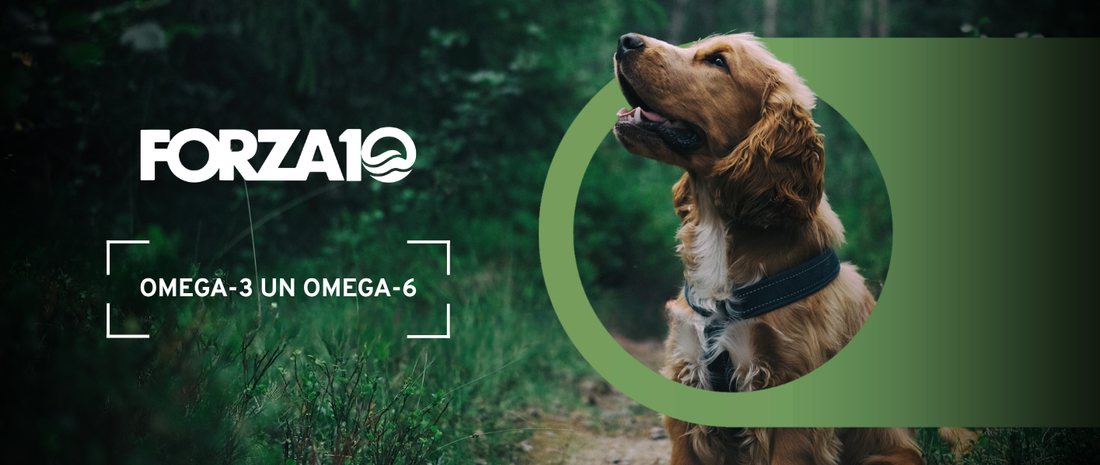Omega-3 un Omega-6 taukskābes