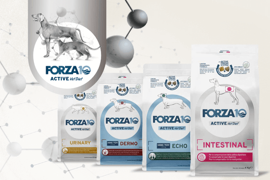 Forza10 Active line