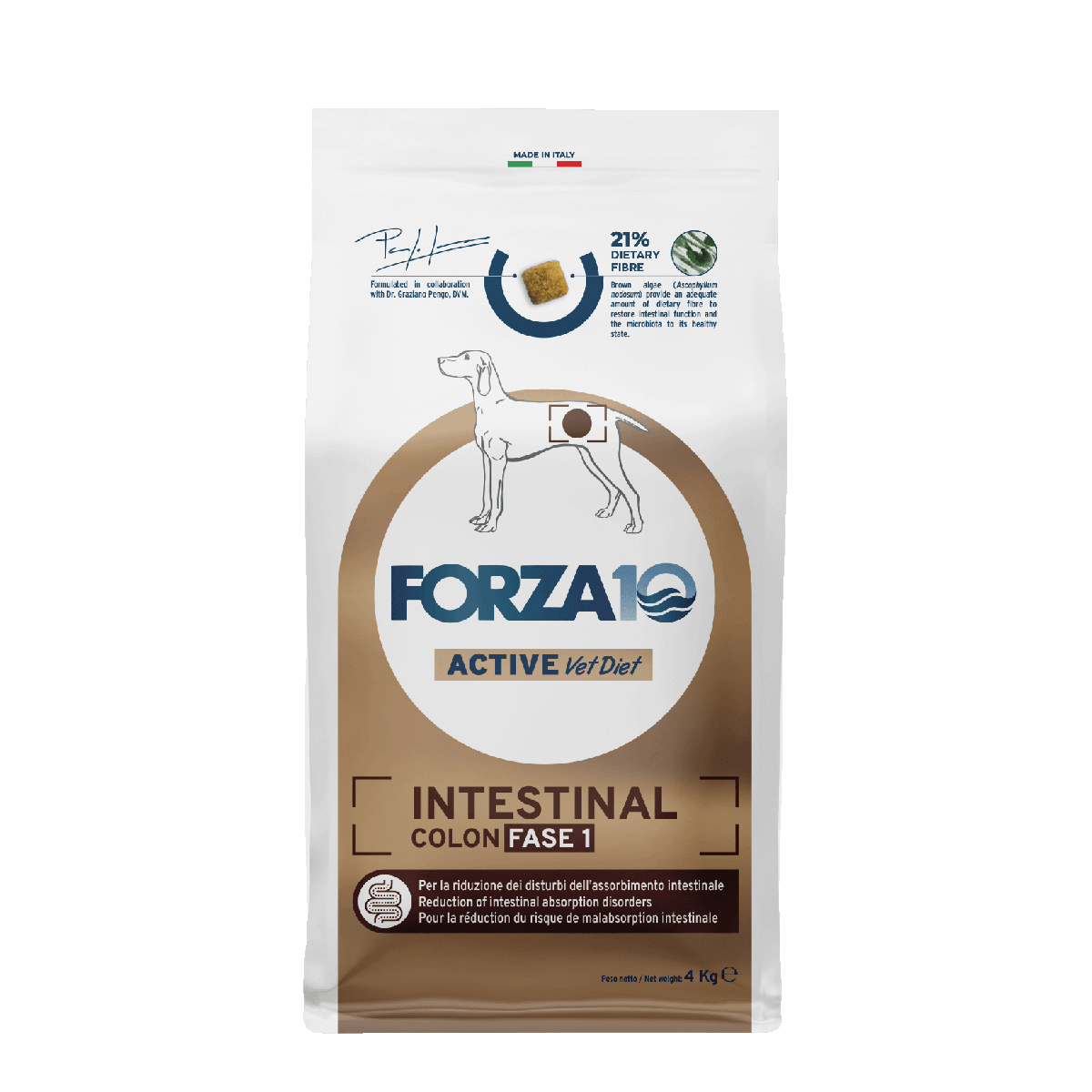 INTESTINAL COLON ФАЗА 1