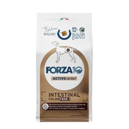 INTESTINAL COLON ФАЗА 1
