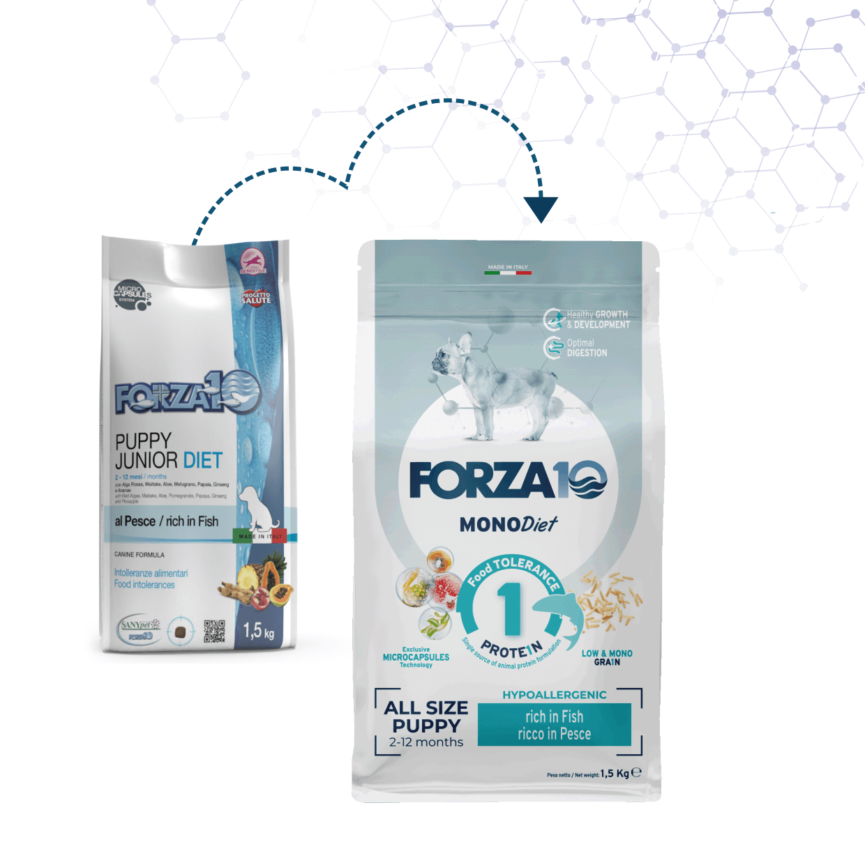 Forza10 Mono Diet all size puppy rich in fish pilnvērtīga, sabalansēta sausā barība alerģiskiem un jutīgiem kucēniem ar zivi iepakojuma maiņa