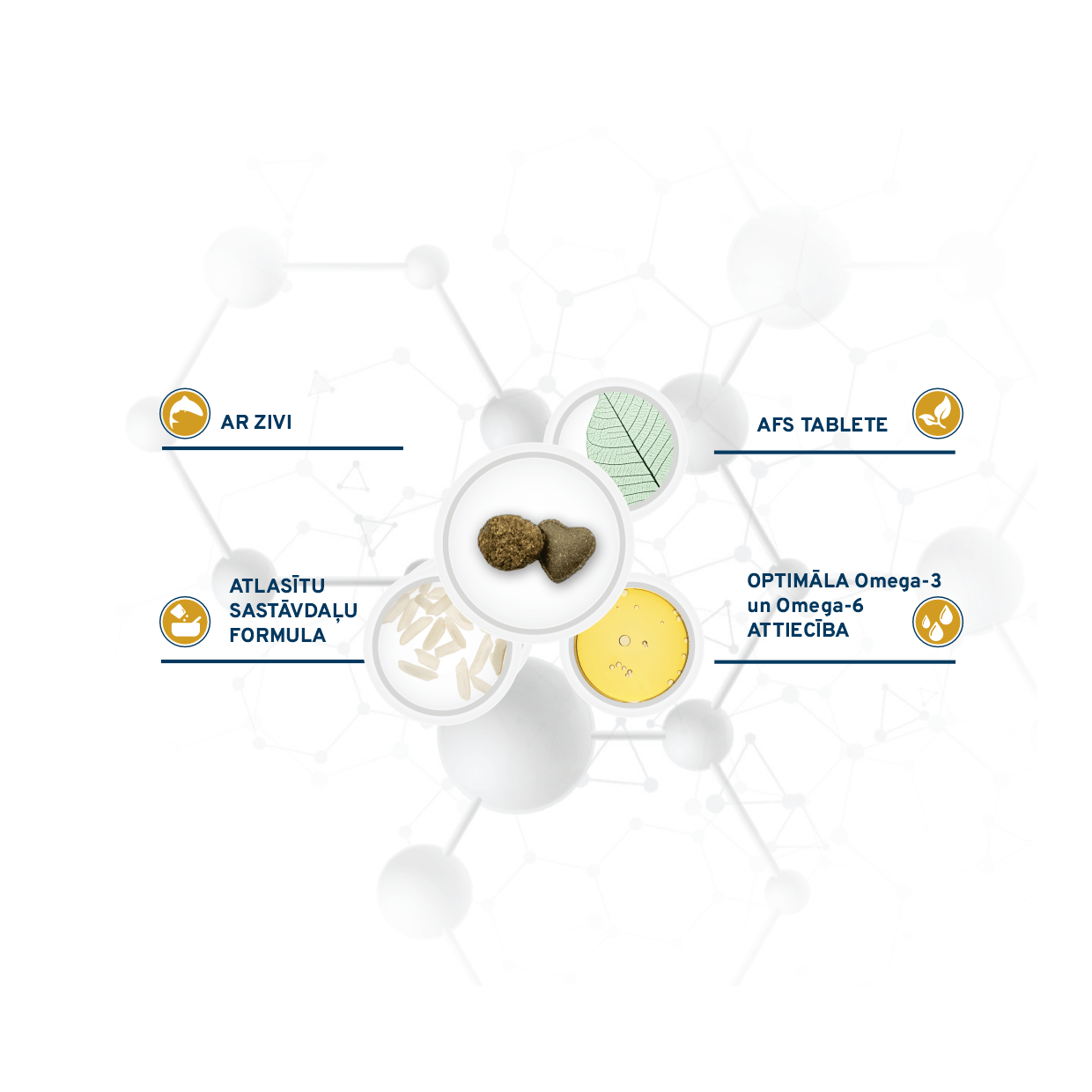 FORZA10 Active VetDiet Urinary kaķiem ir pilnvērtīga diētiskā barība pieaugušiem kaķiem ar urīnizvadceļu saslimšanām.