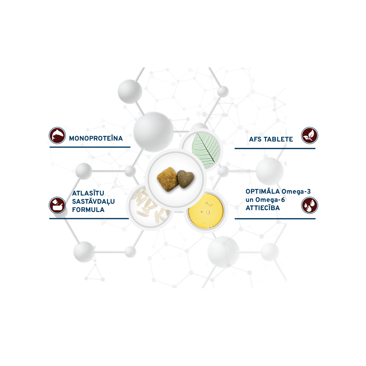 Forza10 Dermo Ative sausā barība suņiem priekšrocības