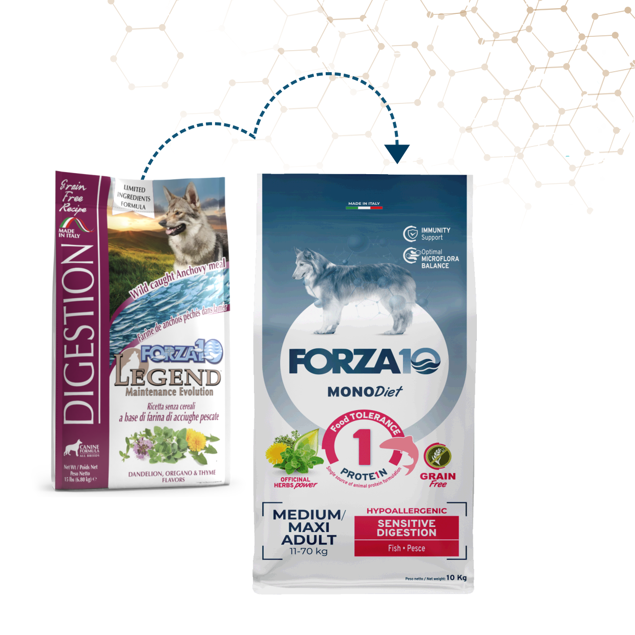 Forza10 MonoDiet Medium/Maxi Adult Sensitive Digestion monoproteīna bezgraudu pinvērtīga diētiskā barība pieaugušiem vidējo un lielo šķirņu suņiem ar jutīgu gremošanas traktu jaunais iepakojums