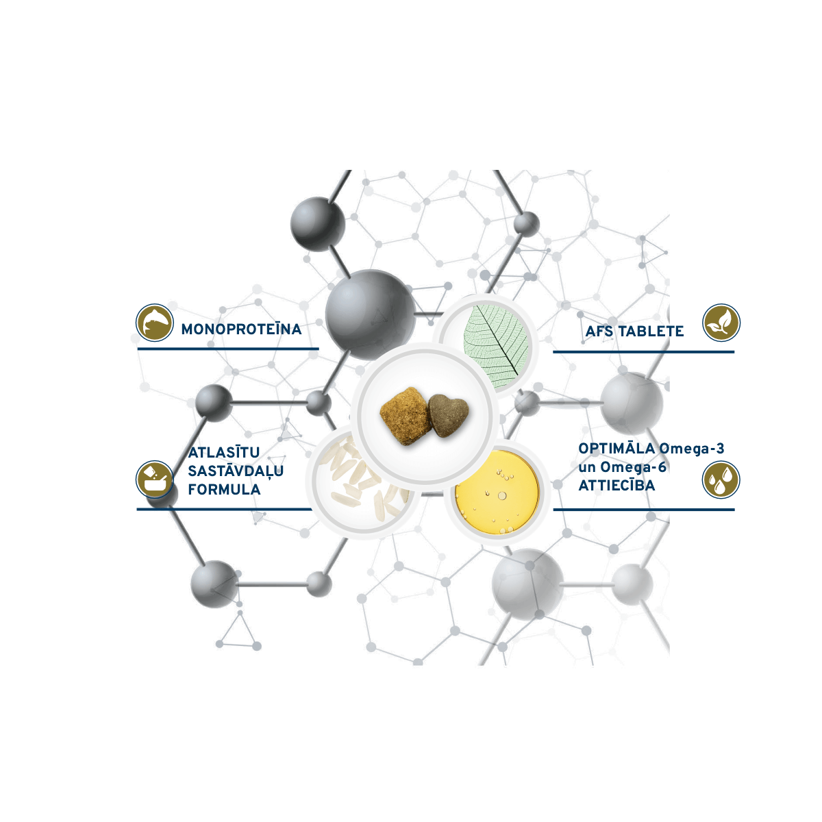 Forza10 Periaction Active diētiskās barības īpašības