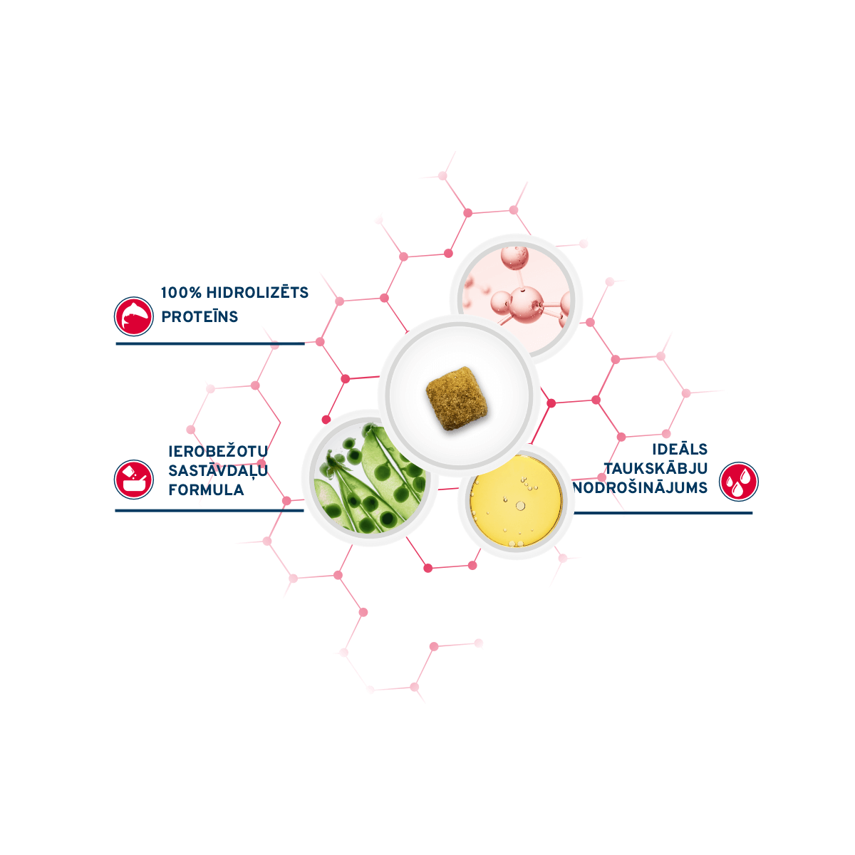 FORZA 10 Ultra Dermo Active ir diētiskā sausā barība pieaugušiem visu izmēru suņiem ar apmatojuma problēmām un ādas saslimšanām.