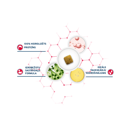 FORZA 10 Ultra Dermo Active ir diētiskā sausā barība pieaugušiem visu izmēru suņiem ar apmatojuma problēmām un ādas saslimšanām.