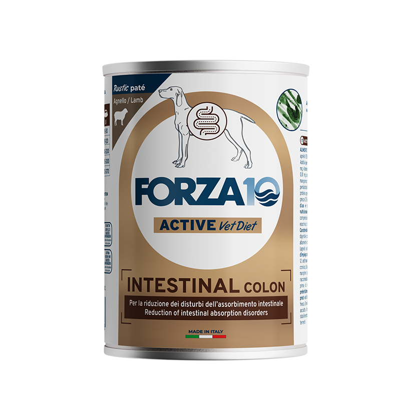 Forza10 VetDiet Intestnal colon mitrā barība suņiem nepietiekamas gremošanas kompensēšana; eksokrīnās aizkuņģa dziedzera nepietiekamības gadījumā, zarnu darbības traucējumu gadījumā.