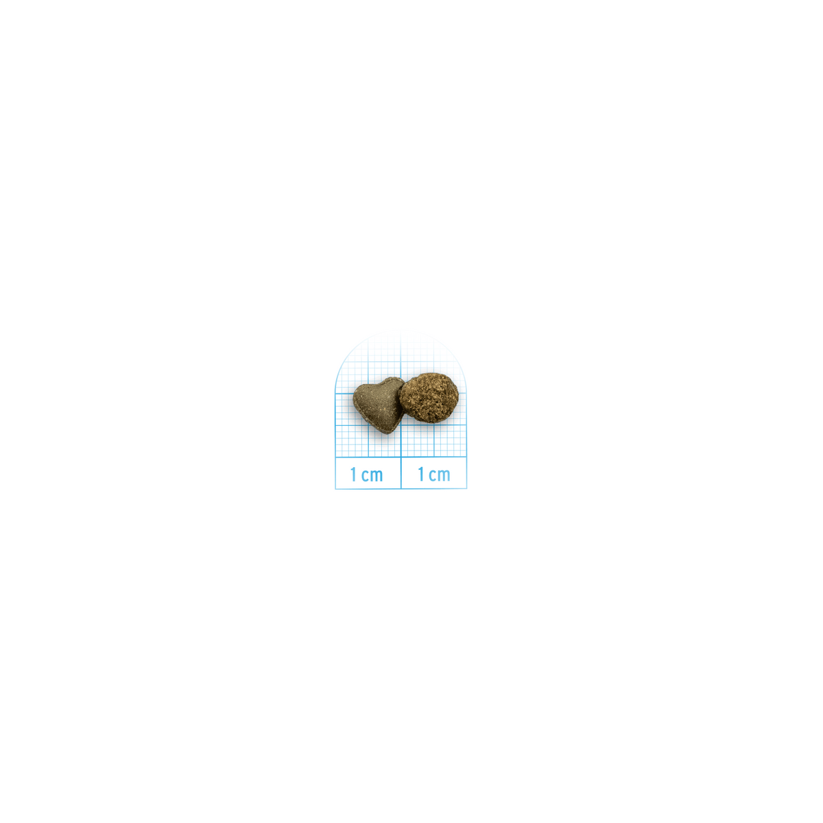 Active VetDiet Puppy INTESTINAL, 1,5 kg