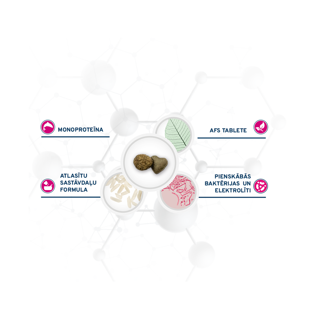 Frza10 puppy intestinal sausā barība priekšrocības