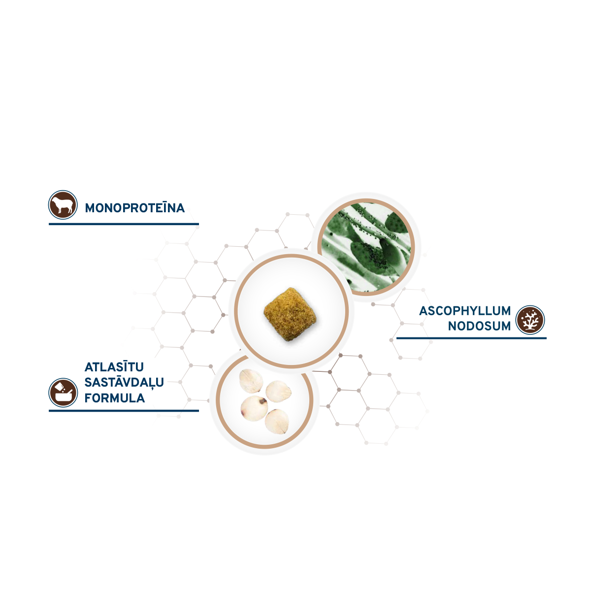 Active VetDiet Intestinal Colon FASE 1 ar jēru/sorgo