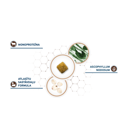 Active VetDiet Intestinal Colon FASE 1 ar jēru/sorgo