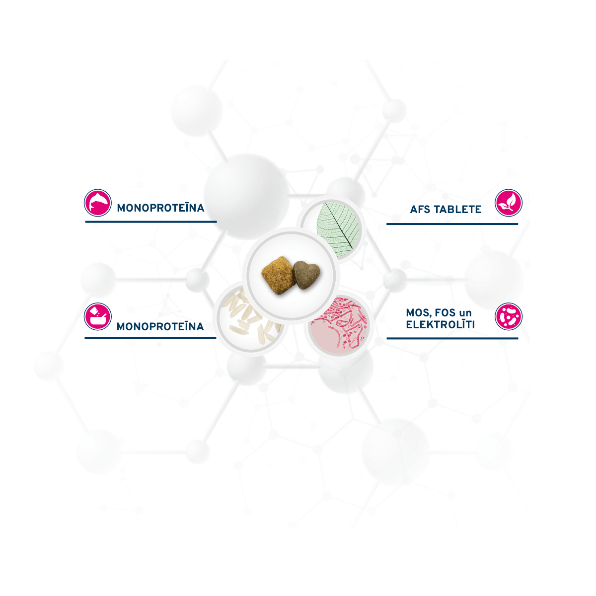 Forza10 Intestinal sausās barības suņiem priekšrocības