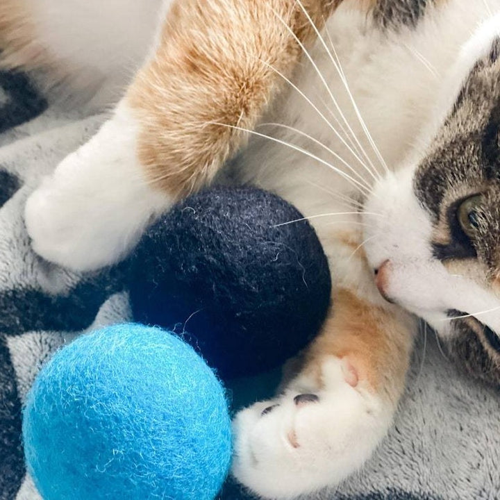 Brīnišķīgs 3 krāsu bumbiņu komplekts tava kaķa- aktīvām rotaļām. Rotaļlieta, kas pavisam noteikti piesaistīs kaķa uzmanību!