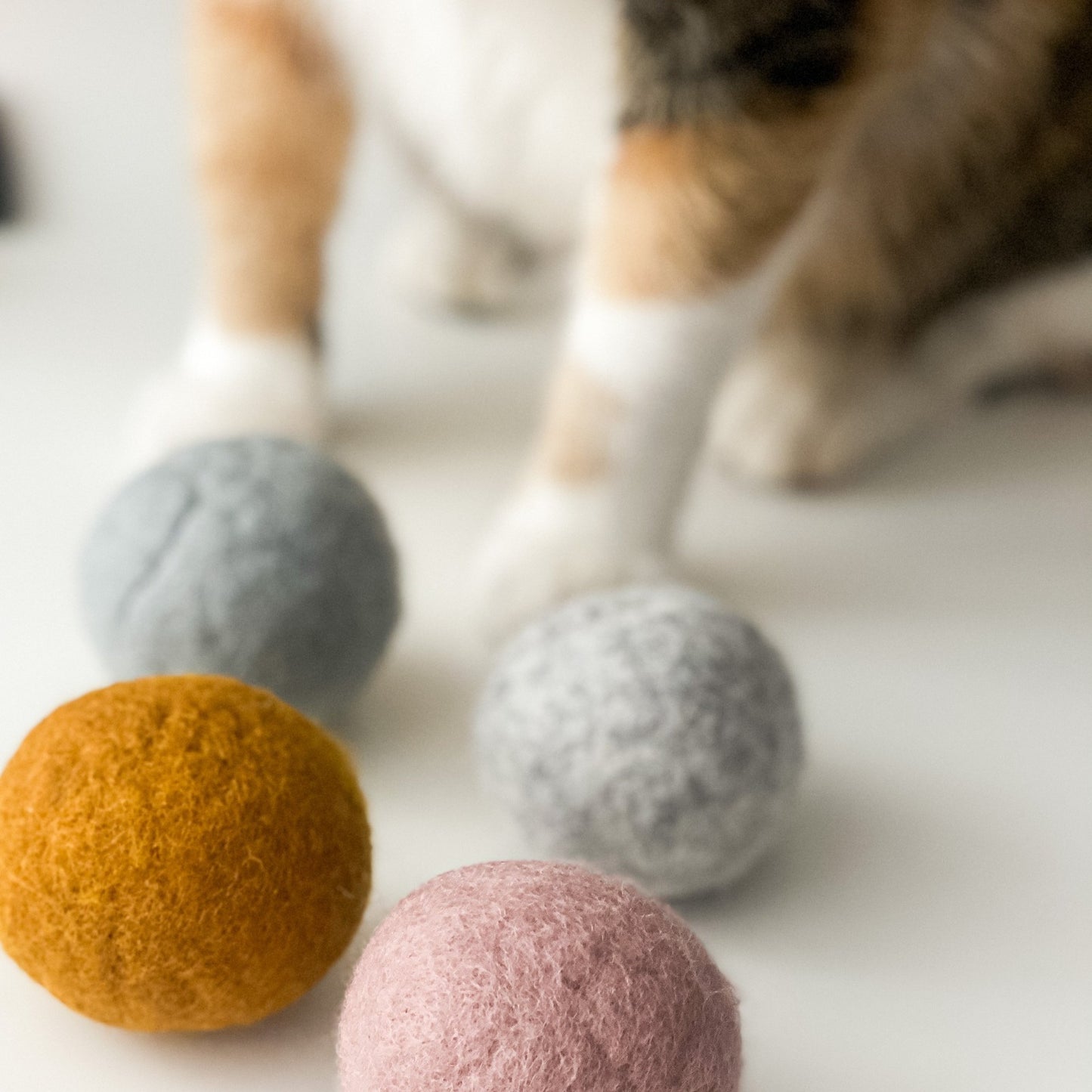 Brīnišķīgs 3 krāsu bumbiņu komplekts tava kaķa- aktīvām rotaļām. Rotaļlieta, kas pavisam noteikti piesaistīs kaķa uzmanību!