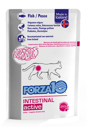 Intestinal ActiWet konservi  kaķiem